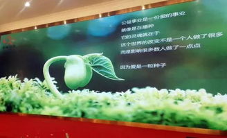 以刀為筆，以玉載道 福建省寶協玉石雕刻專業委員會藝術公益之路